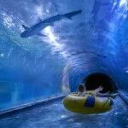 Aquapark + gadolandia i papugarnia